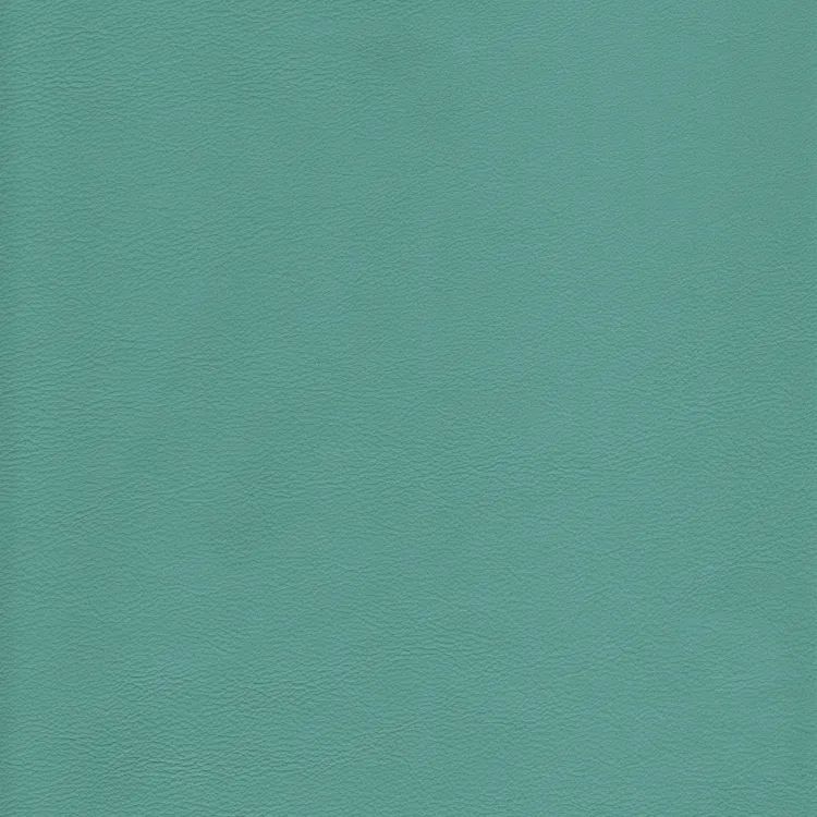 Acqua